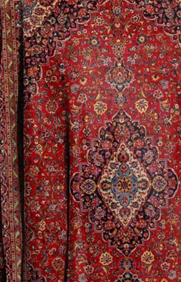 ANDINA | JERSEY DE CUELLO BARCO ELEGANTE